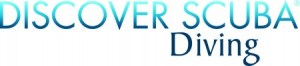DSD® Logo 4C