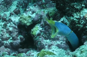 Copyright Becky Westley