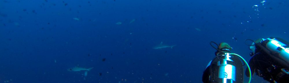 Sukelluskoulu Go Down